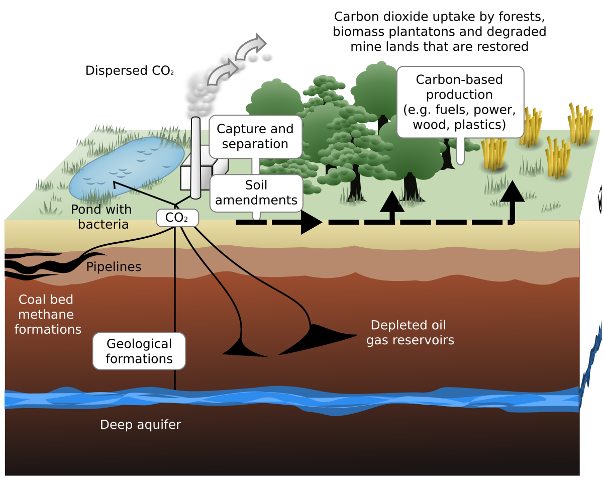 Biological sequestration